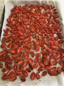 tomato halves caramelized on a baking sheet