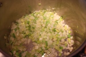 sauteing the onion and leek